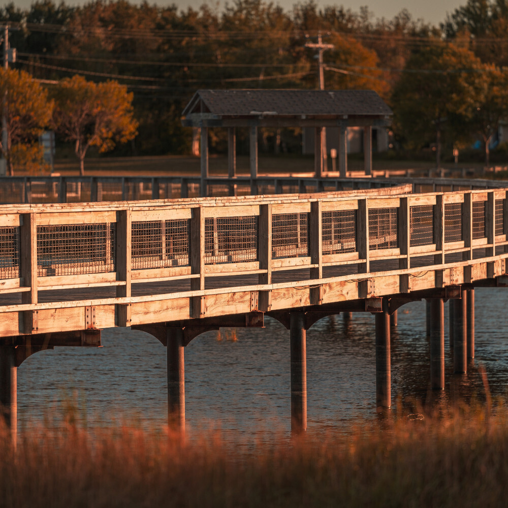 6 activités à ne pas manquer à Beresford Été 2021 Histoires
